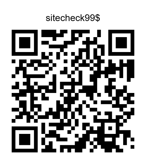 PayPal QR code for the US$99 SiteCheck diagnostic